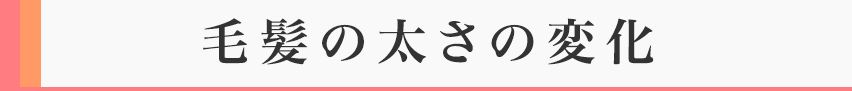 毛髪の太さの変化