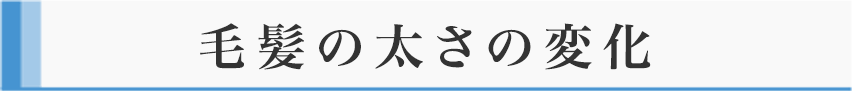 毛髪の太さの変化