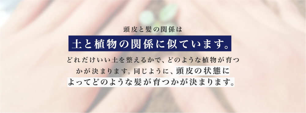 頭皮と髪の関係は土と植物の関係に似ています。どれだけいい土を整えるかで、どのような植物が育つかが決まります。同じように、頭皮の状態によってどのような髪が育つかが決まります。