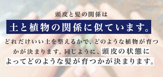 頭皮と髪の関係は土と植物の関係に似ています。どれだけいい土を整えるかで、どのような植物が育つかが決まります。同じように、頭皮の状態によってどのような髪が育つかが決まります。