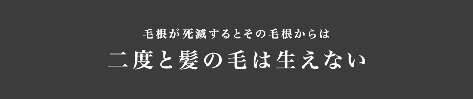 毛根が死滅するとその毛根からは
二度と髪の毛は生えない